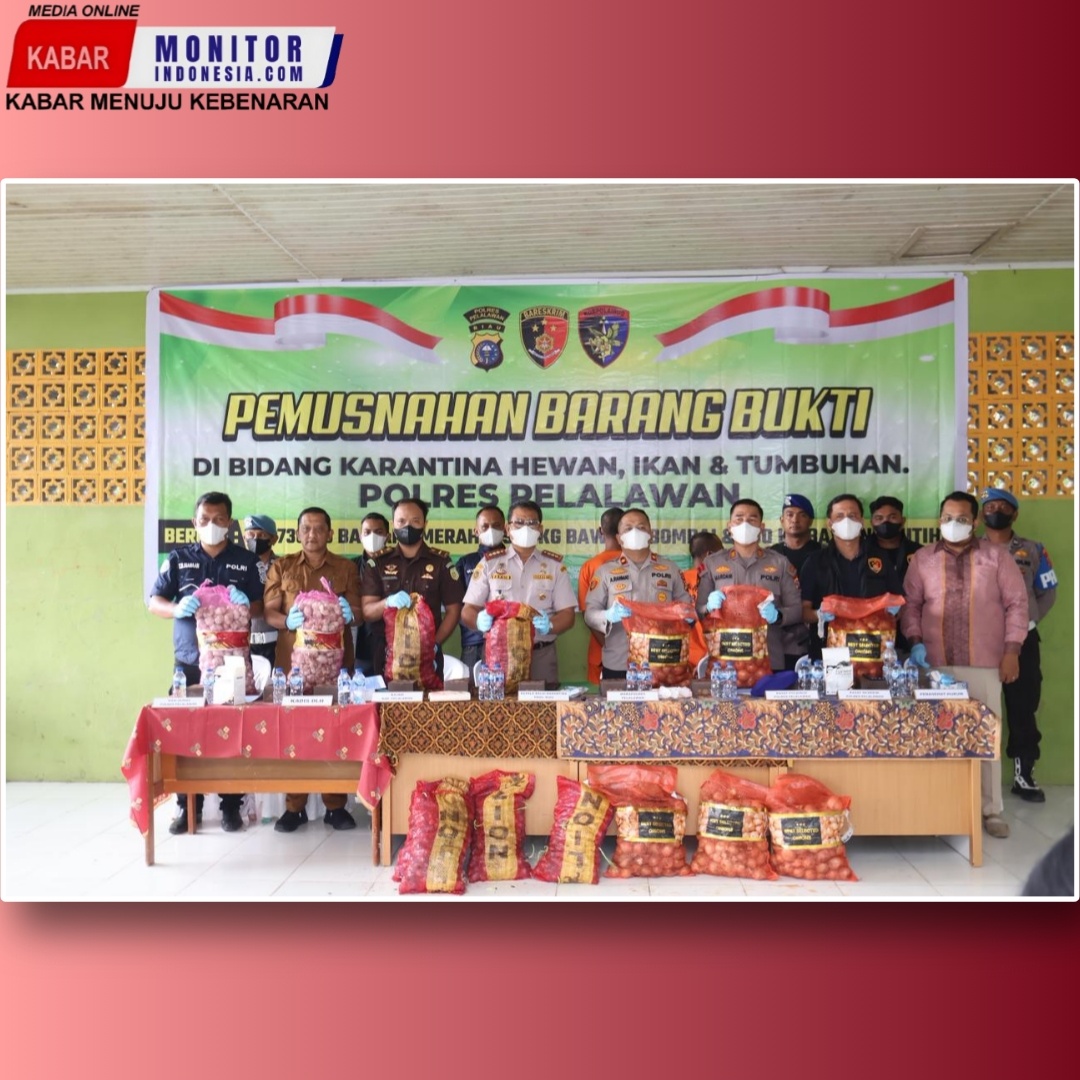 Polres Pelalawan Musnahkan Barang Bukti Bawang Merah Dan Bombay