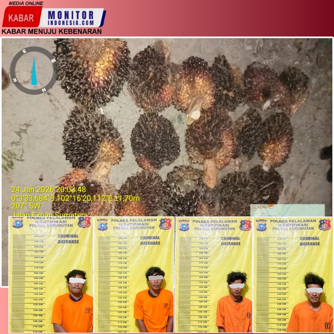 Polsek Kerumutan Ungkap Kasus Pencurian Buah Kelapa Sawit di PT Sari Lembah Subur